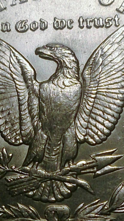 1884-O-Morgan-VAM-48-A-+-Struck-Through-Cloth?